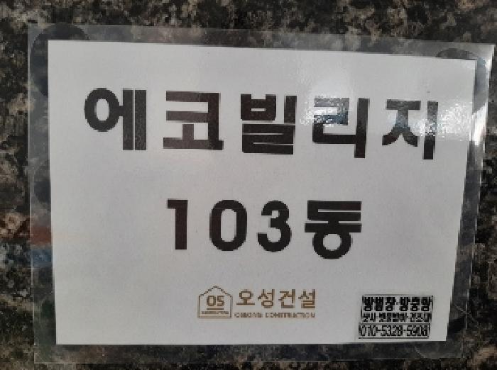 사진 5