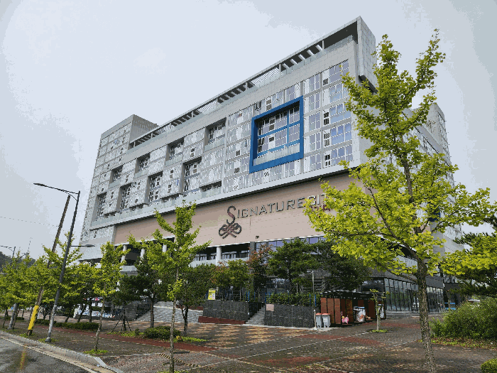 사진 11