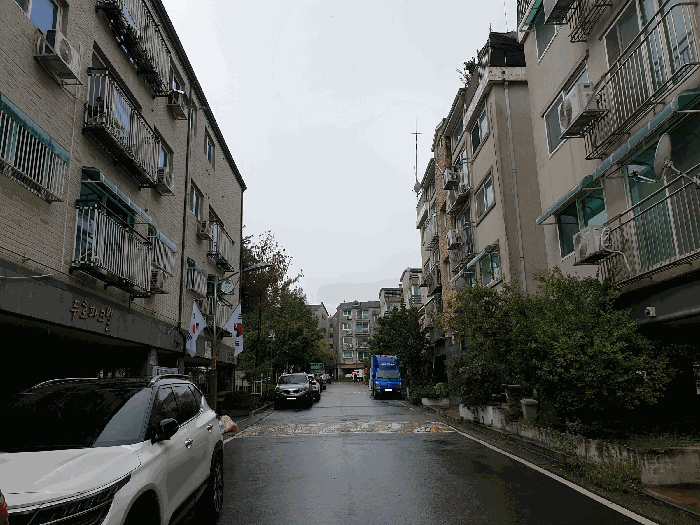 사진 10