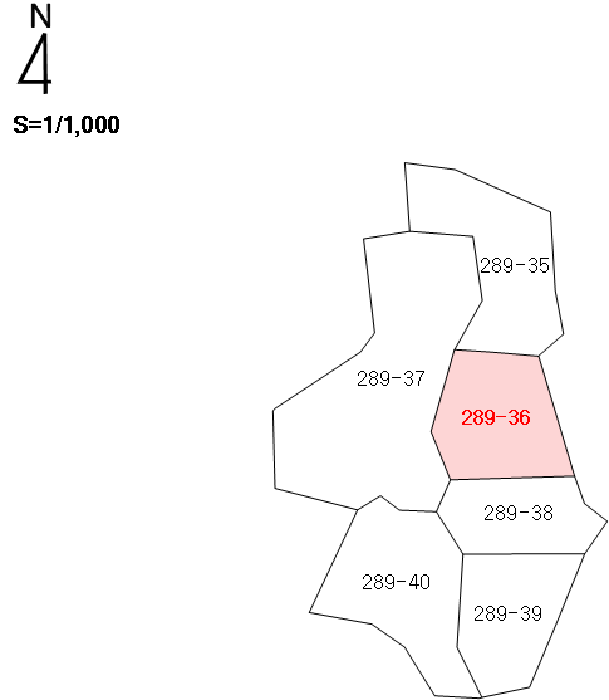 사진 5
