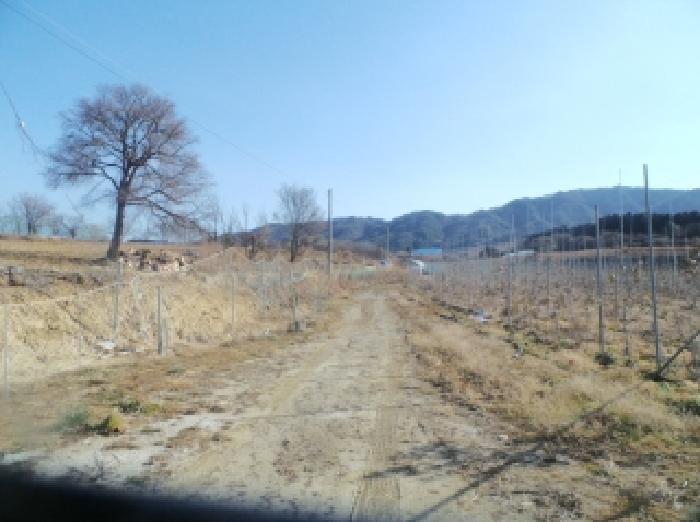 사진 27