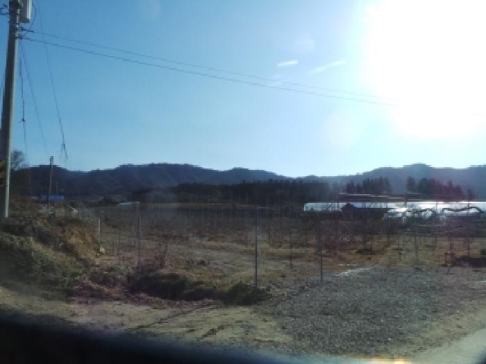 사진 7