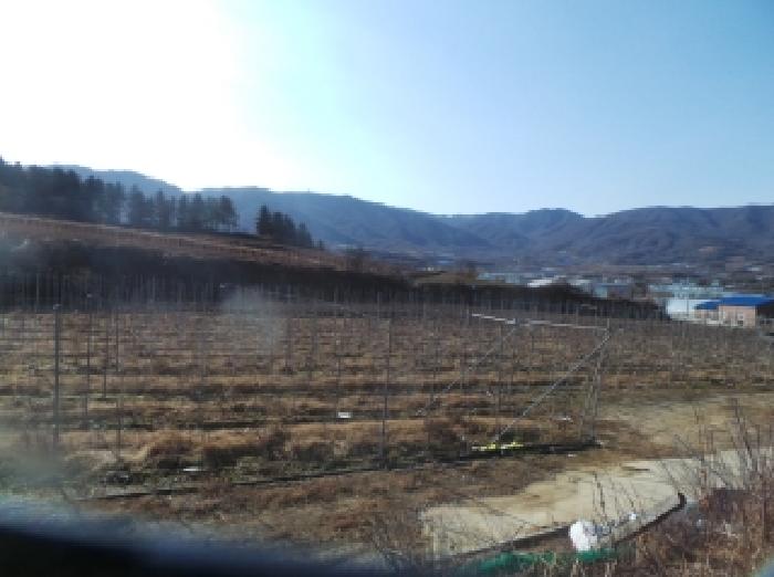 사진 8