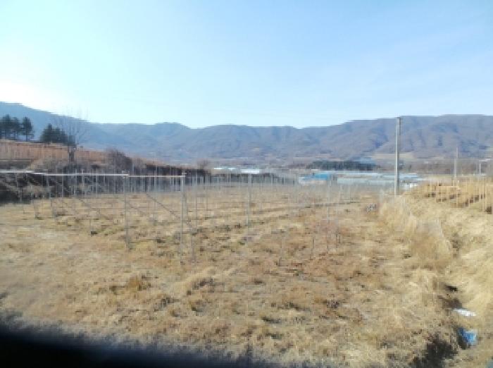 사진 9