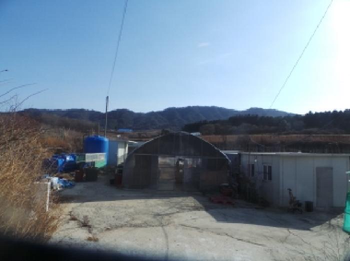 사진 10