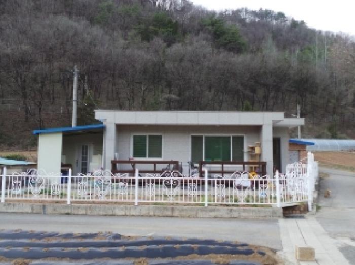 사진 3