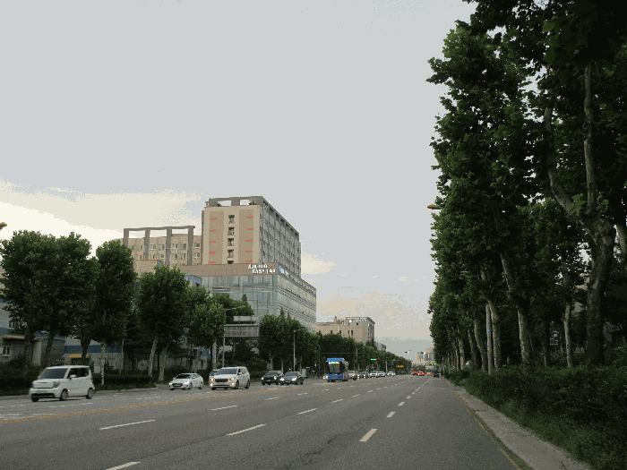 사진 9