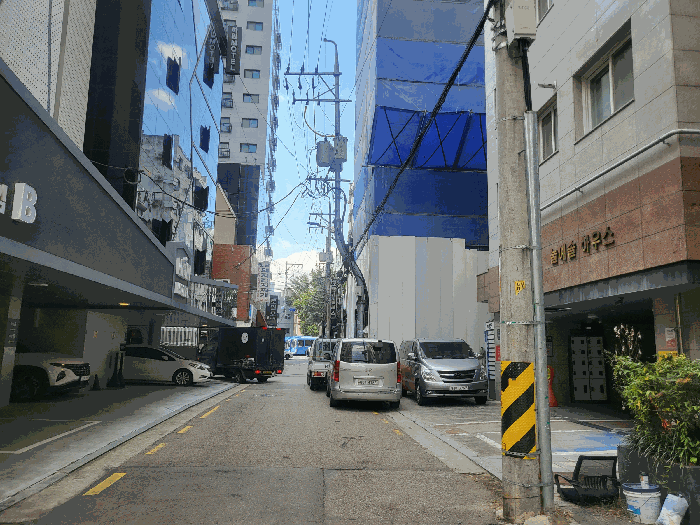 사진 11