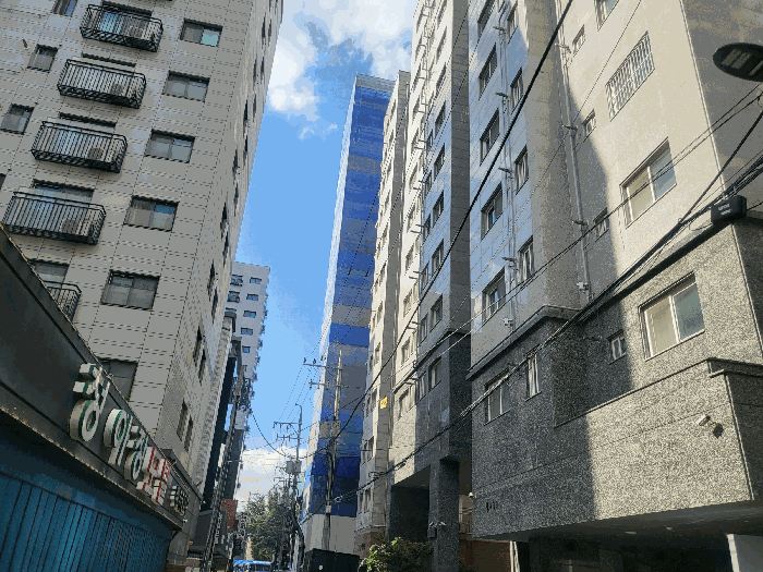 사진 9