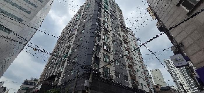 사진 5