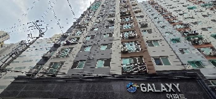 사진 6