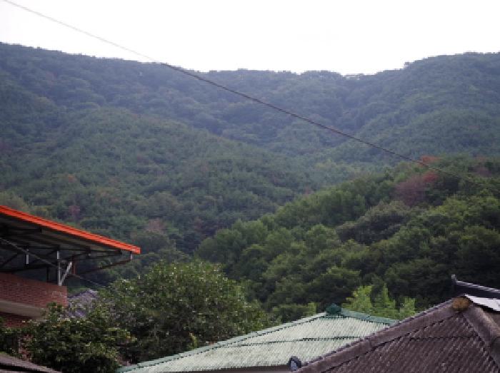 사진 7