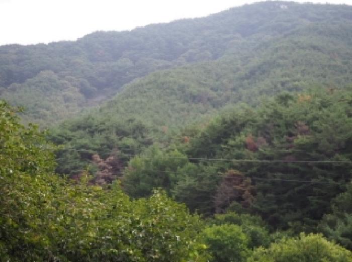 사진 8