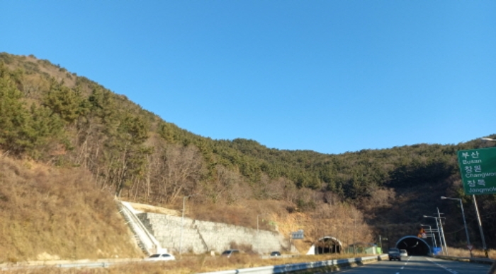 사진 2