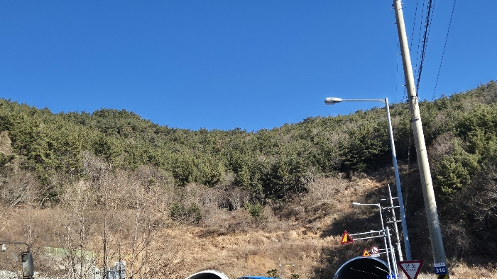 사진 7