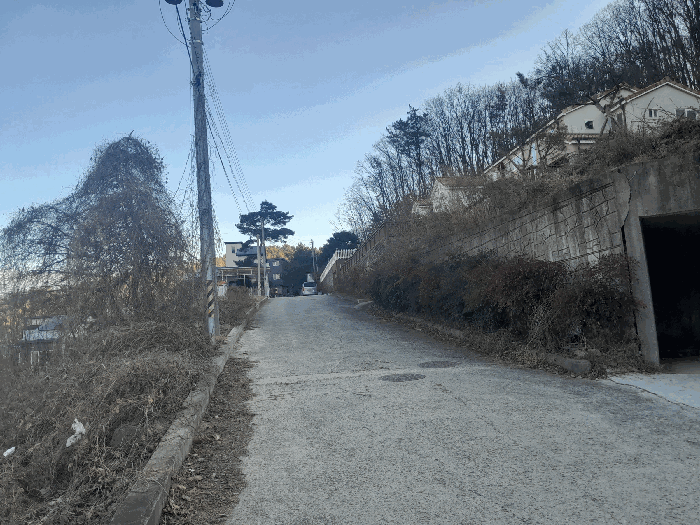사진 8