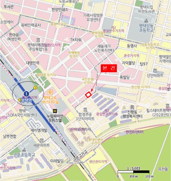 사진 10