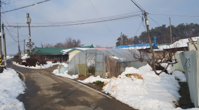 사진 12