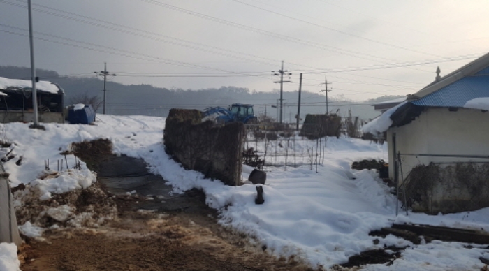 사진 14