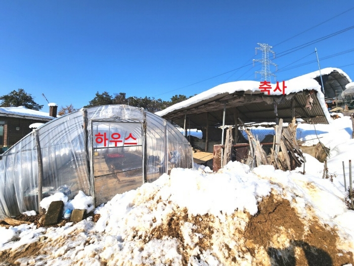 사진 34