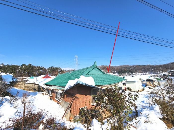사진 35