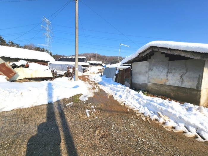 사진 37