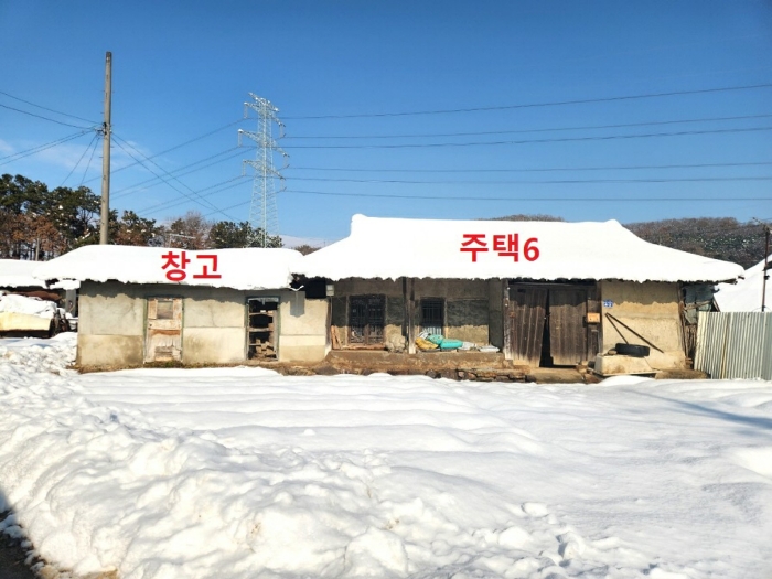 사진 42