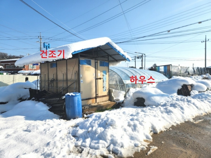 사진 43