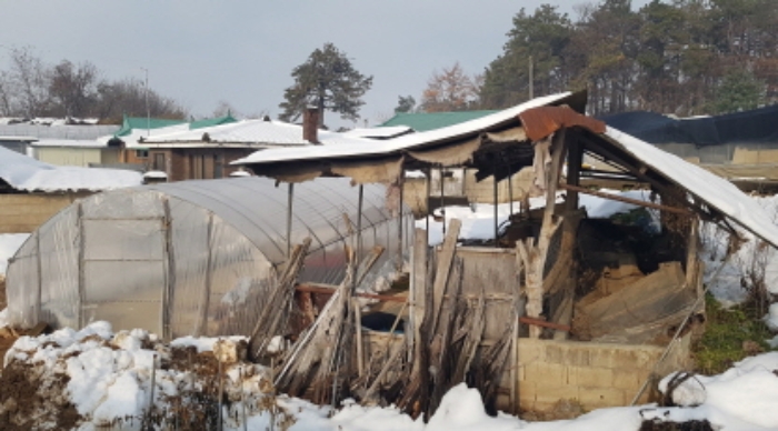 사진 6