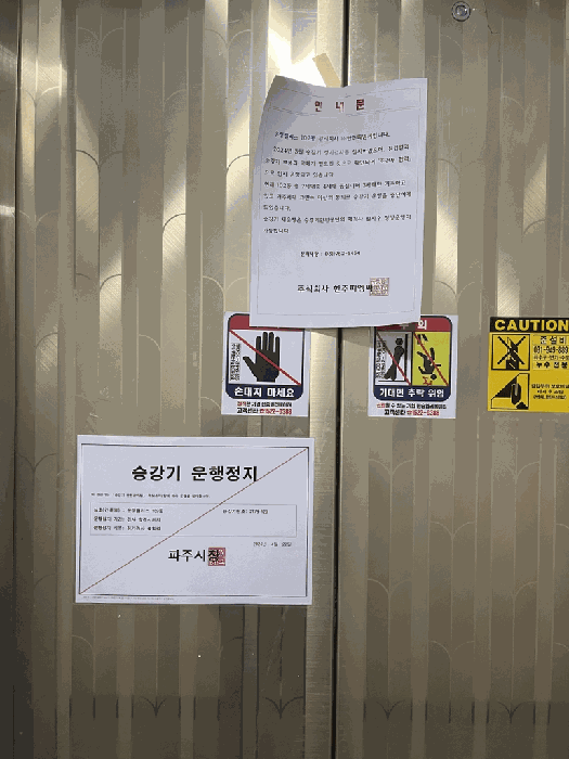 사진 10