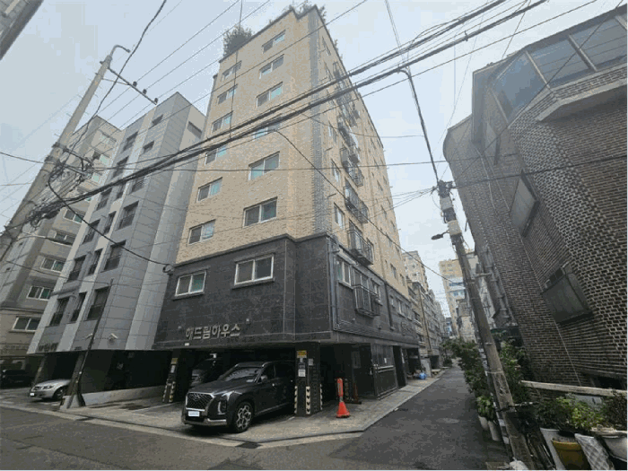사진 13