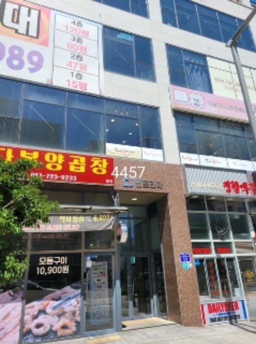 사진 2