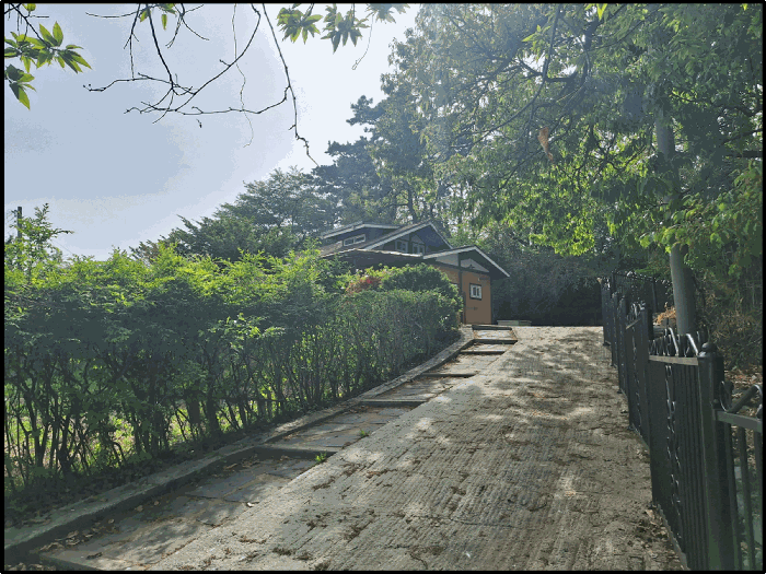 사진 14
