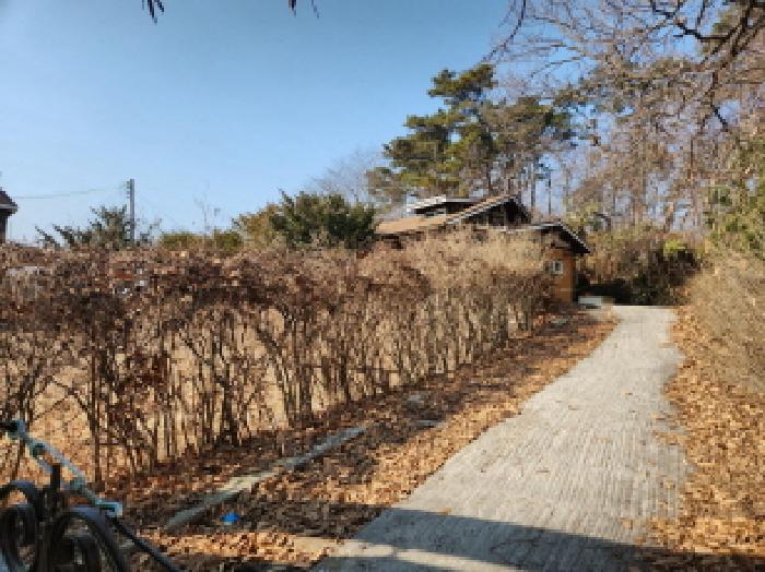 사진 4