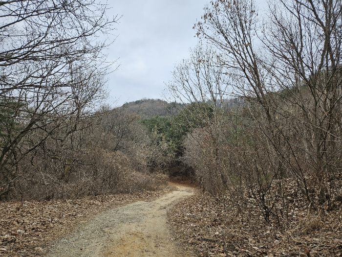 사진 8