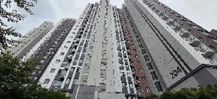 사진 10