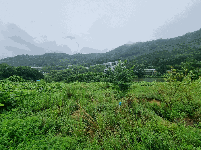 사진 7
