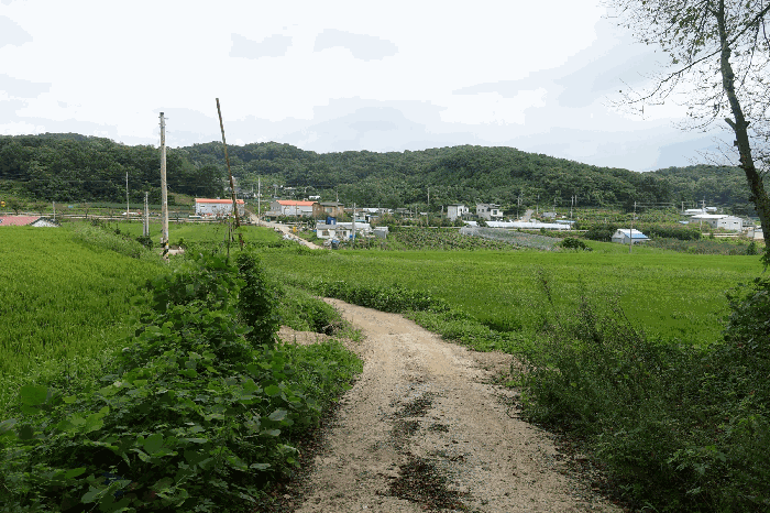 사진 11