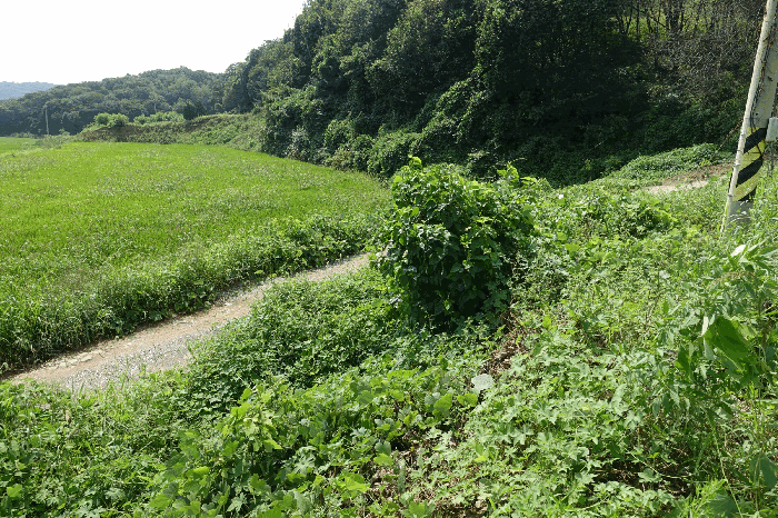 사진 17