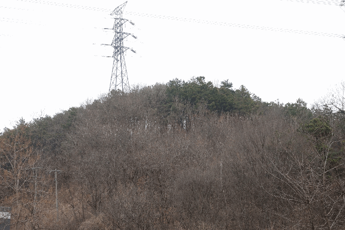사진 7