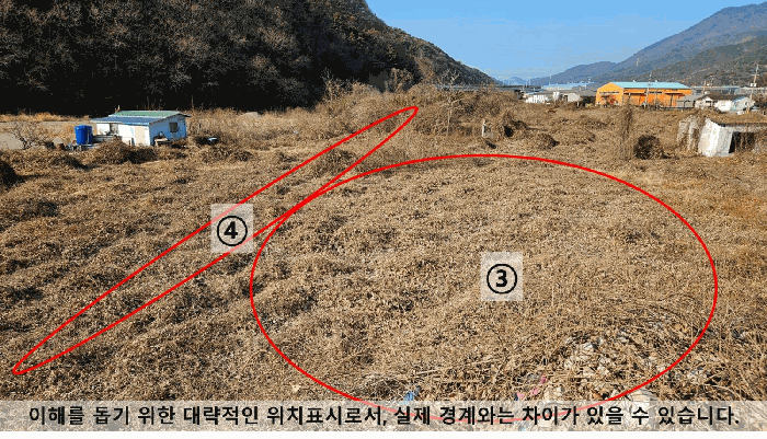 사진 10