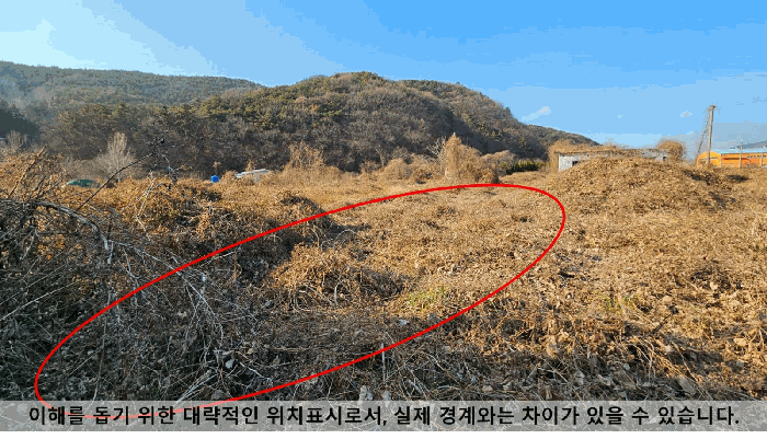 사진 13