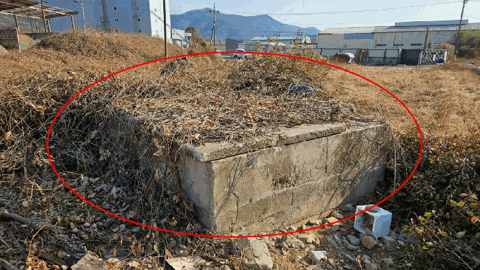 사진 14