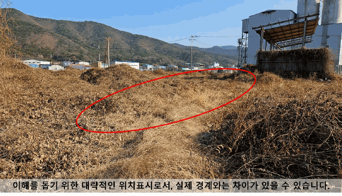사진 9