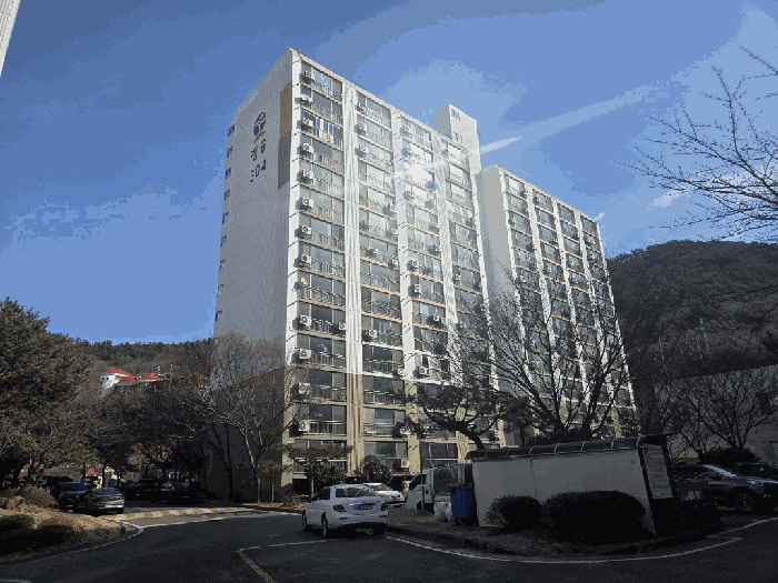 사진 9