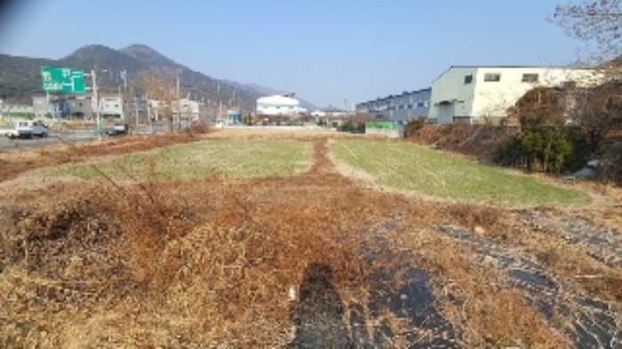 사진 1