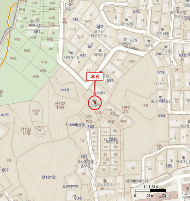 사진 5