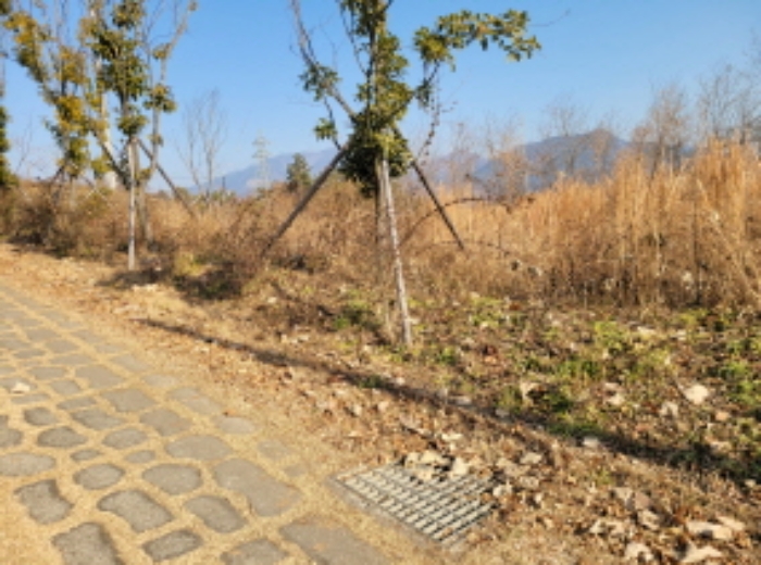 사진 2