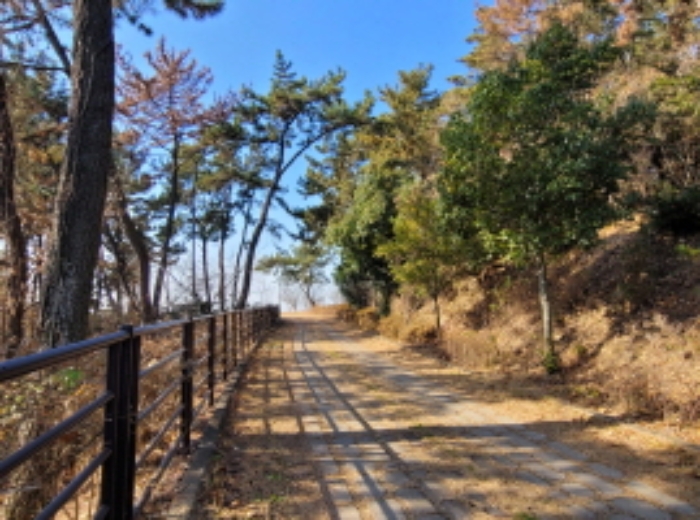 사진 11