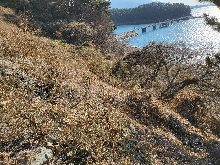 사진 108